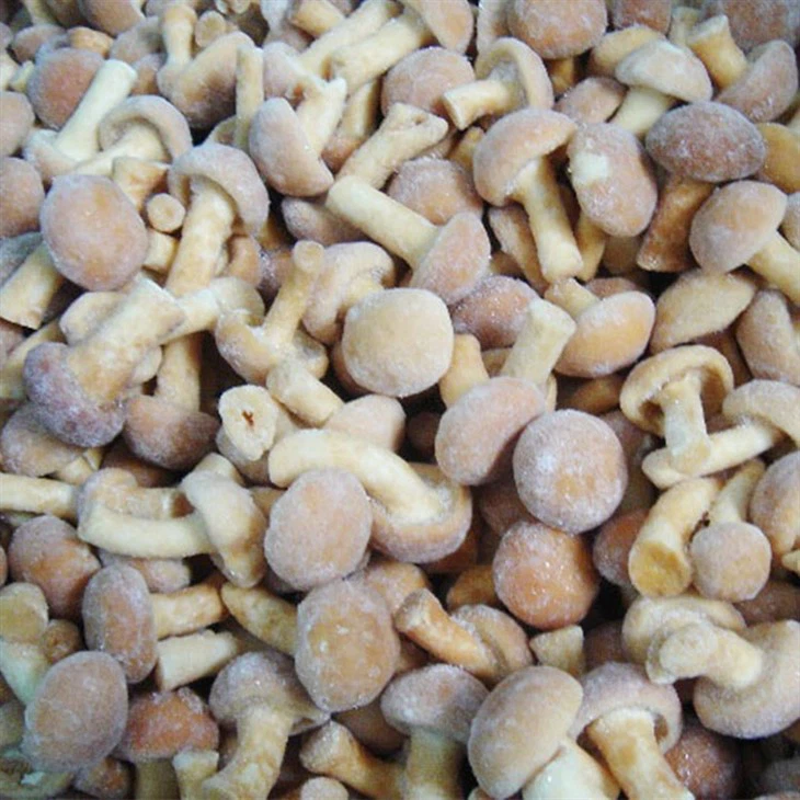 Freezing Nameko Mushrooms