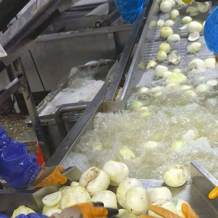 frozen bloomin onion