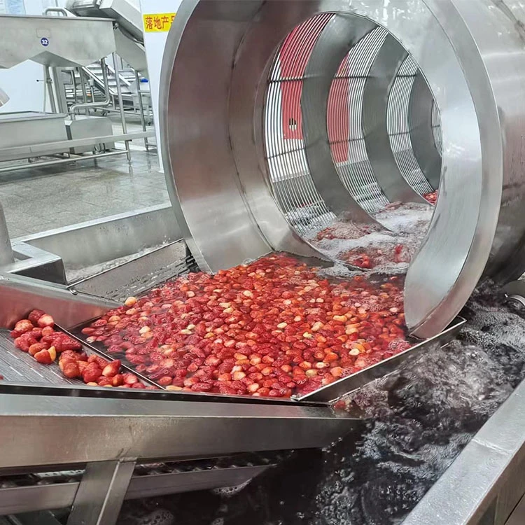 Strawberries moving through processing equipment Strawberries moving through processing equipment