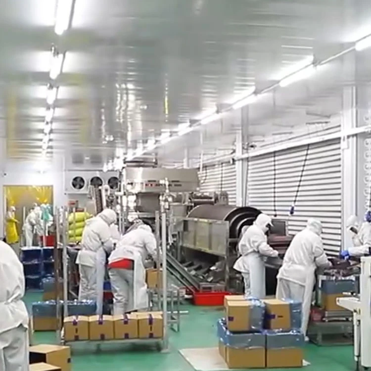Workers and equipment in a frozen food processing and packing room Workers and equipment in a frozen food processing and packing room